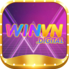 winvndigital