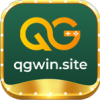 qgwinsite