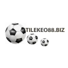 tilekeo88biz