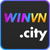 winvncity