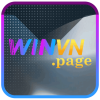 winvnpage