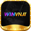 winvnat