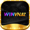 winvnbz