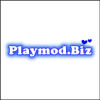 playmodsbiz