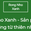 rongnhoxanh