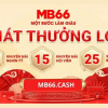 mb66cash