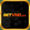 betvndsite