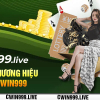 cwin999live