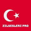 zilsesleripro