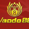 vando8882