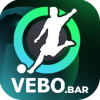 vebobar1