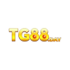 tg88day2