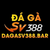 dagasv388bar