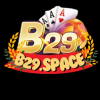 b29space