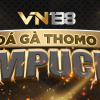 vn138run1