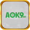 aok9net