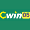 cwin05coin3