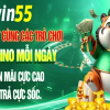 c5win55info