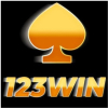 a123wincityskin