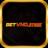 betvndstore