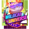 wildcatuniversecom