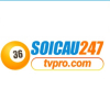 soicau247tvpro