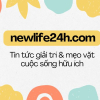 newlife24