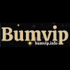 bumvipinfo