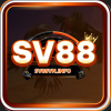 sv88vninfo