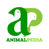 animalpedia