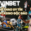 vinbet22info