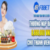 f8bett3info