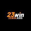 hai3winkids