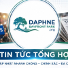 tintucdaphne