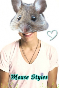 Mouse Styles