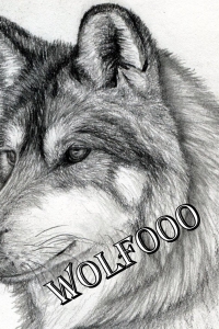 wolf000