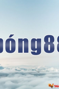 Bong88ThomoSV388