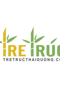 tretructhaiduong