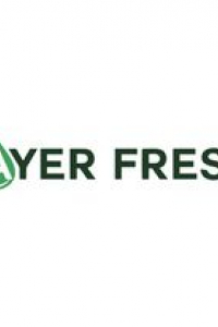 layerfreshvn