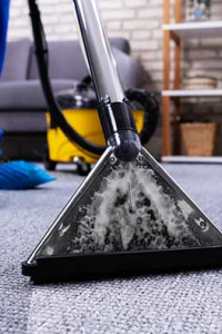 carpetcleaningsydn