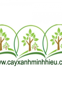 cayxanhminhhieu