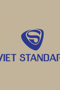 VietStandard