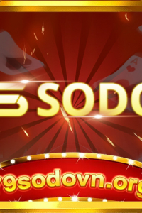 sodovnorg