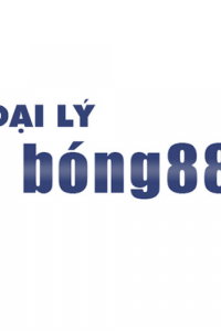 dailybong88