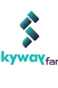 skywayfare
