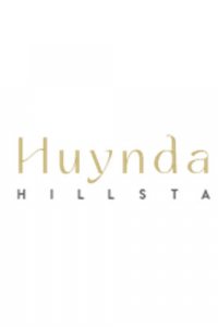 huyndaihillstate