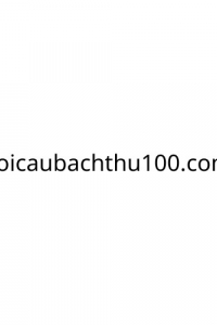 soicaubachthu100