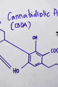 synaptixcbd