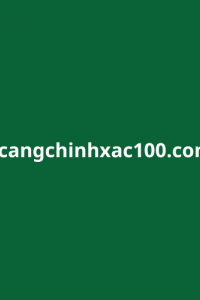 cangchinhxac100