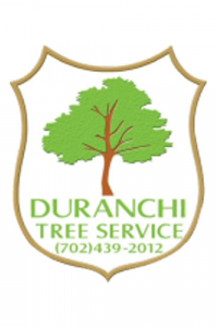 duranchitree